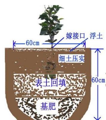 省林业局办公室关于印发《湖北省油茶产业扩面提质增效行动技术指南》的通知